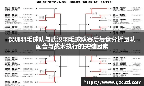 深圳羽毛球队与武汉羽毛球队赛后复盘分析团队配合与战术执行的关键因素