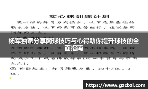 杨军独家分享网球技巧与心得助你提升球技的全面指南