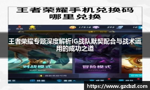 王者荣耀专题深度解析IG战队默契配合与战术运用的成功之道